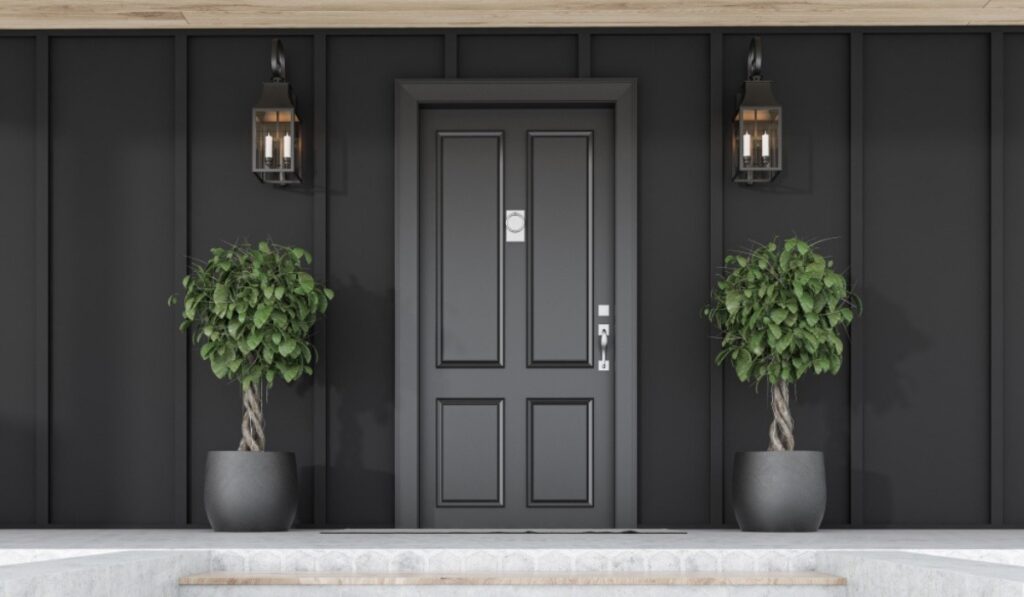 Classic Black Wooden Door Design