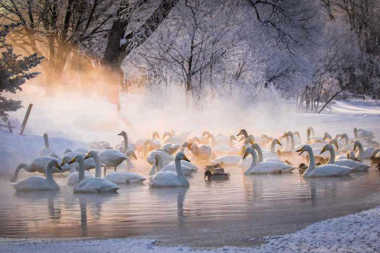 The Glamorous Hot Springs of Hokkaido